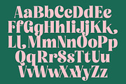 Tropic Fresh Bold Vintage Serif, a Serif Font by timelesstype.co (Thumbnail 17 of 20)