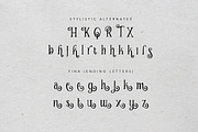 Curely Pro fancy cute lettering font, a Serif Font by Konstantine Studio (Thumbnail 10 of 11)