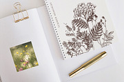 Hand drawn medicinal herbs, a Healthcare Illustration by handsketched (Thumbnail 5 of 14)