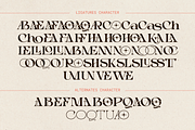 Choga - Modern Luxury Logo Font, a Serif Font by Nirmana Visual (Thumbnail 9 of 15)