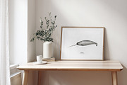Watercolor Whales. Ocean animals set, an Animal Illustration by Diana Askarova Art (Thumbnail 7 of 7)