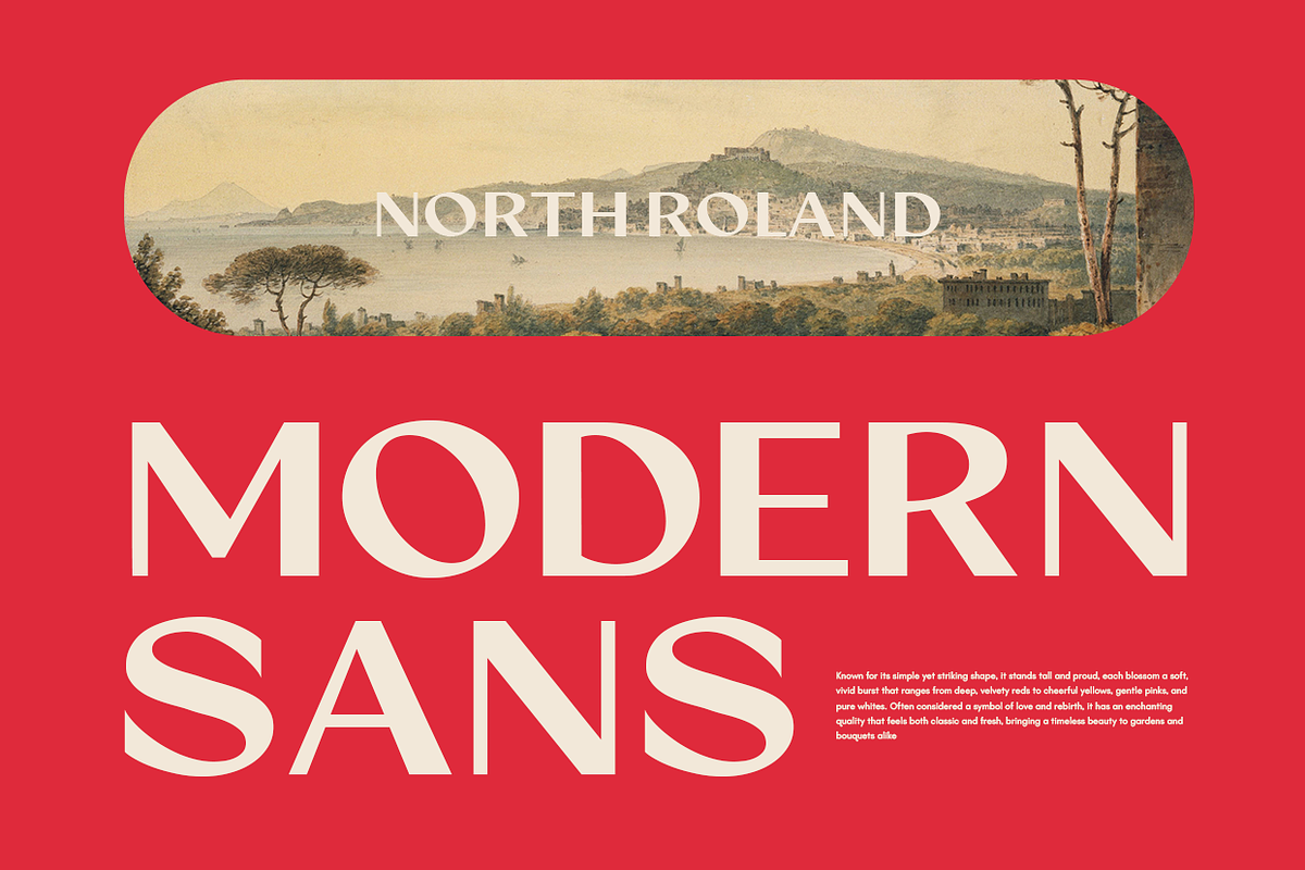 North Roland - Display Sans Serif, a Sans Serif Font by Viswell (Photo 2 of 11)