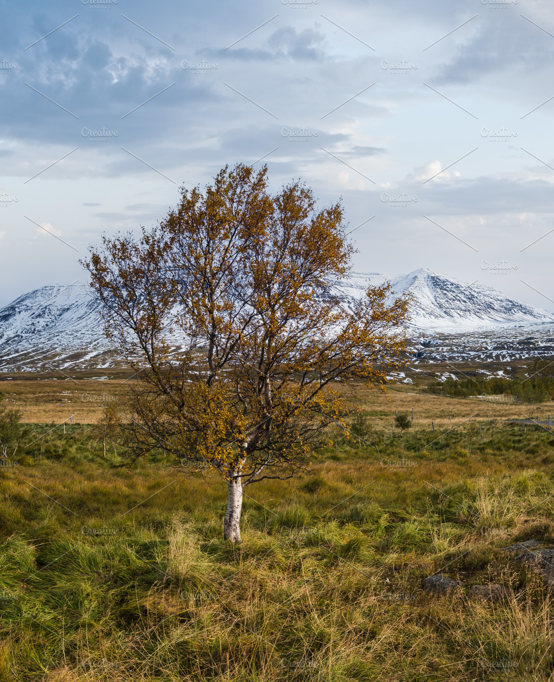 Beautiful mountain view during auto trip in North Iceland. Spect, a Nature Photo by YuriyB
