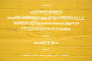 Straight Ahead Modern Script Font, a Script Font by Ronny Studio (Thumbnail 10 of 11)