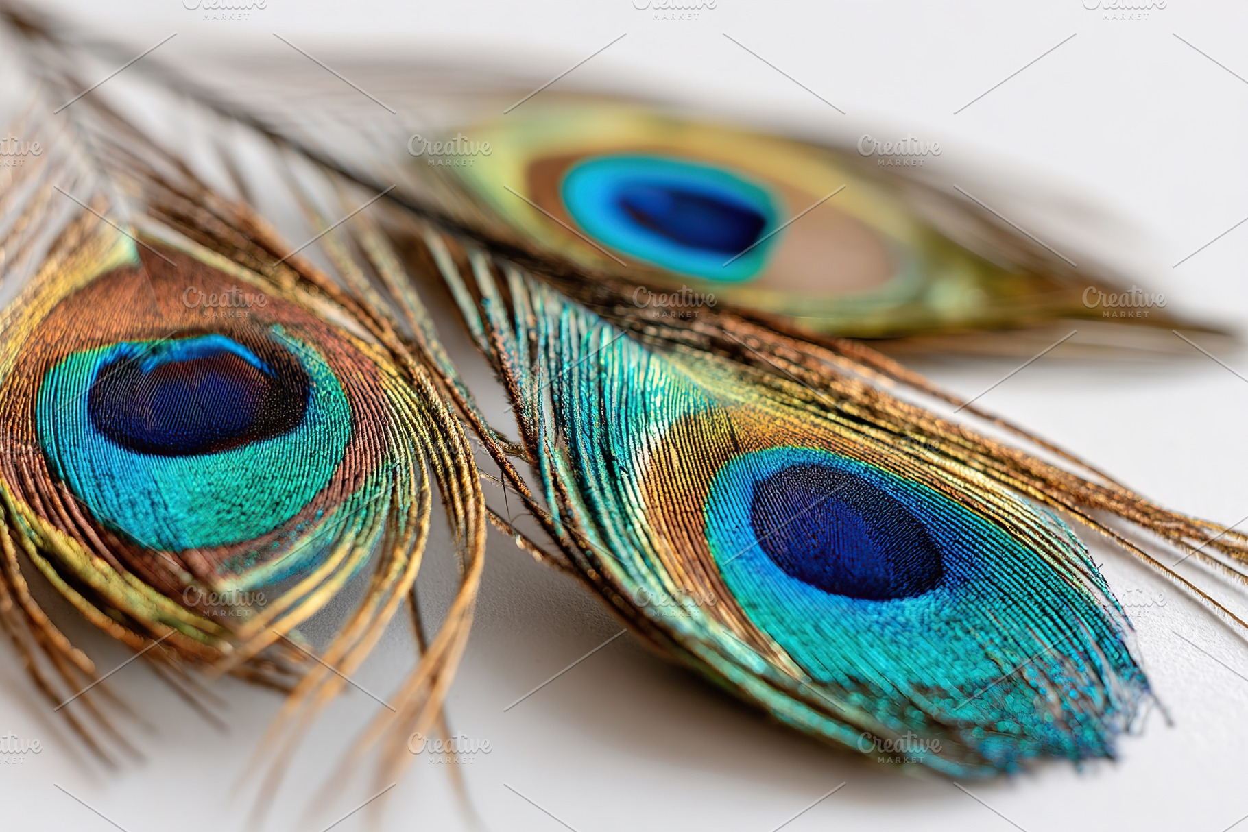 Display of three luxurious peacock feathers showcasing vibrant colors and intri, a Beauty & Fashion Photo by AlyaAnd