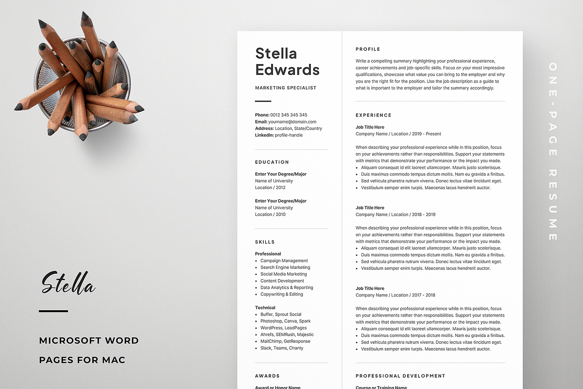 Resume Template Stella, a Resume Template by Olympia Resume (Photo 1 of 4)