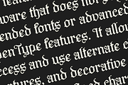 Bavides – Blackletter Font, a Blackletter Font by NDNL Studio (Thumbnail 7 of 9)