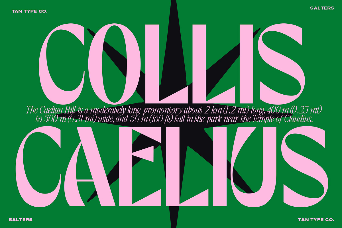 TAN - SALTERS, a Font by TanType (Photo 8 of 14)