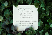 The Excited - Signature Font, a Script Font by PutraCetol Studio (Thumbnail 5 of 11)