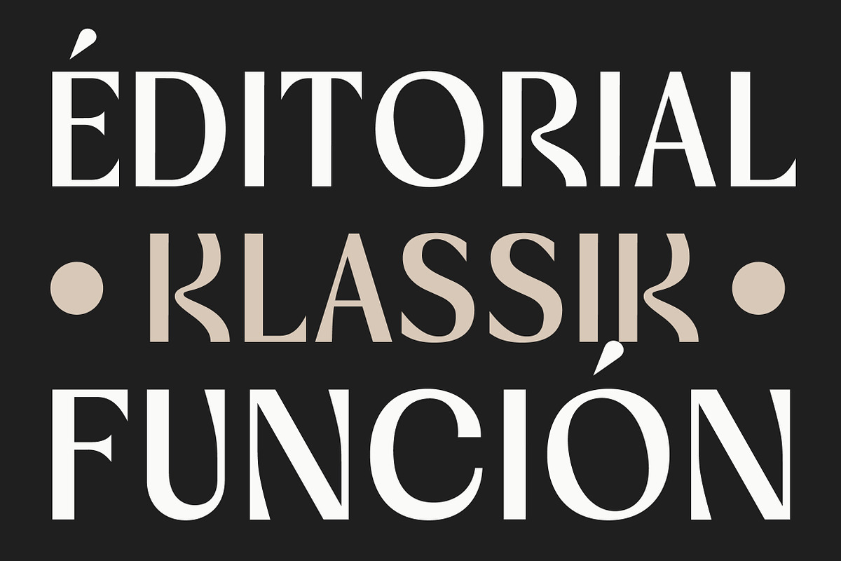 Vogera Minimal Editorial Serif, a Serif Font by Lettertype Studio (Photo 13 of 15)