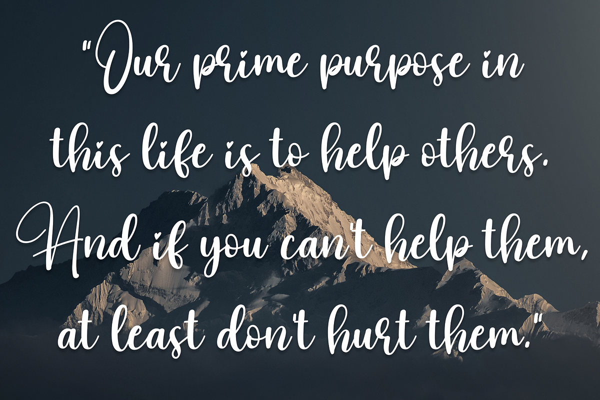 Grinch | Script Font, a Script Font by Scratchones (Photo 7 of 8)