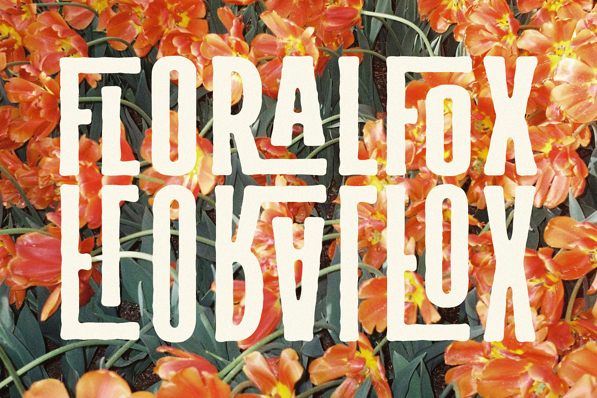 Blockparty - Fun Display Font, a Sans Serif Font by Tom Chalky (Photo 8 of 11)