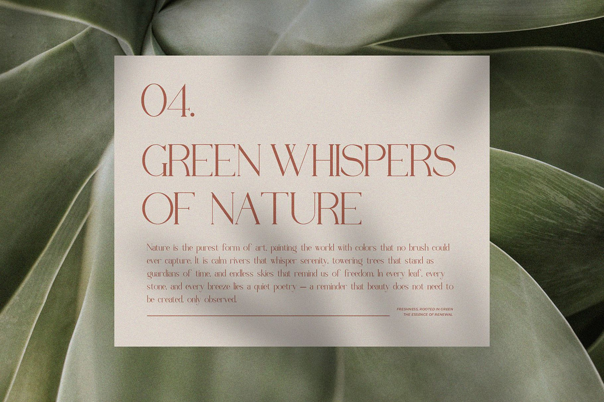 Digholl || Modern Minimalist Serif, a Serif Font by Ermedia Studio (Photo 7 of 10)