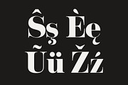NT Josefine, a Serif Font by nevsky.type (Thumbnail 7 of 15)