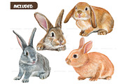 Watercolor Realistic Rabbits clipart, an Animal Illustration by ArtfulStudio (Thumbnail 2 of 8)