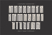 Salty Sans - Condensed Sans Serif, a Sans Serif Font by Pian45 Studio (Thumbnail 8 of 8)