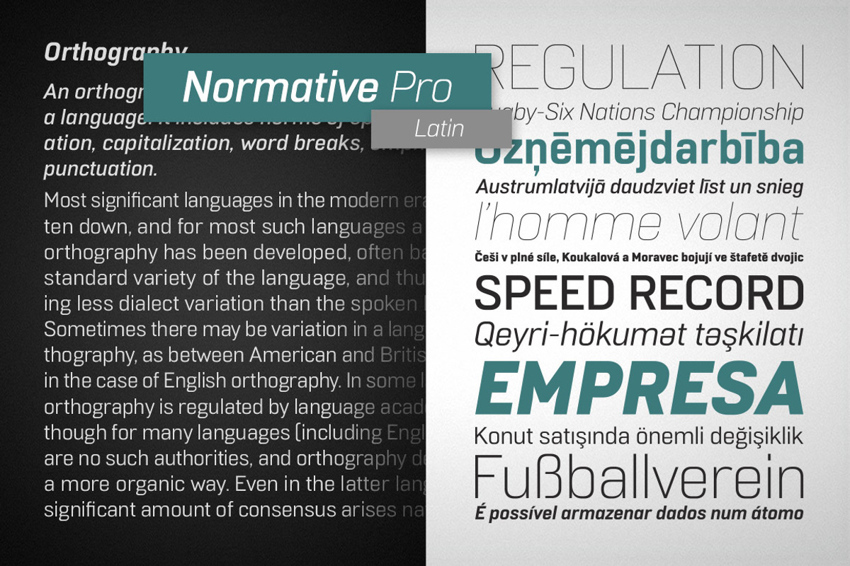 Normative Pro - 4 fonts preview 4