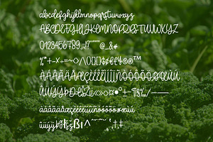 Broccoli Script