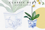 Classic Blue, an Illustration by Dana Designs (Thumbnail 6 of 11)