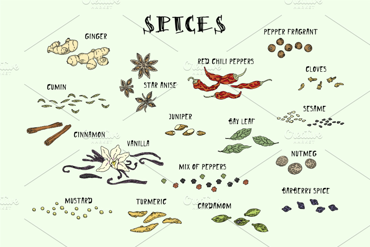Spices. Doodle set, a Food Illustration by WINS Doodle shop (Photo 2 of 5)