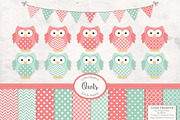 Mint & Coral Owl Clipart & Papers, an Animal Illustration by Amanda Ilkov (Thumbnail 1 of 3)