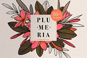 Illustration set Plumeria, an Illustration by Maria Summer (Thumbnail 1 of 13)