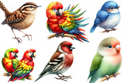 Watercolor Bird Sublimation, an Illustration by Designking (Thumbnail 2 of 4)