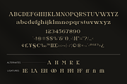 Virey- Modern Elegant Serif, a Serif Font by StoricType (Thumbnail 10 of 11)
