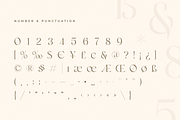 Monik - Elegant Classy Font, a Serif Font by Sensatype (Thumbnail 14 of 15)