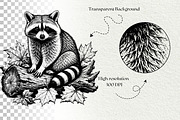 Woodland Raccoon SVG Graphics, an Animal Illustration by DENIDigitalArtSudio (Thumbnail 8 of 8)