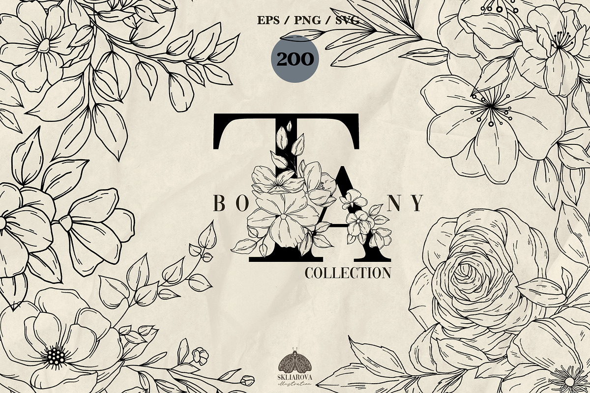 Botany Line Art Collection, a Decorative Illustration by Skliarova (Photo 1 of 10)