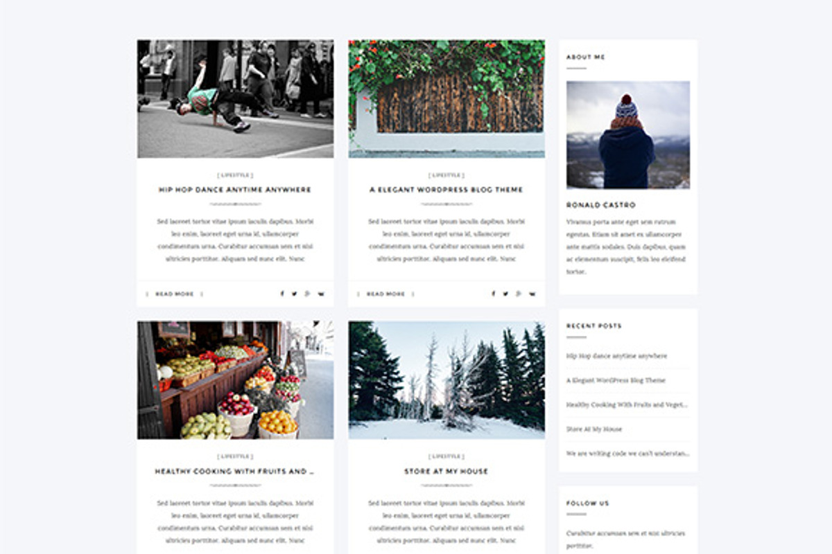 Aresivel -WordPress Blog Theme, a WordPress Template by myshopkit (Photo 11 of 14)