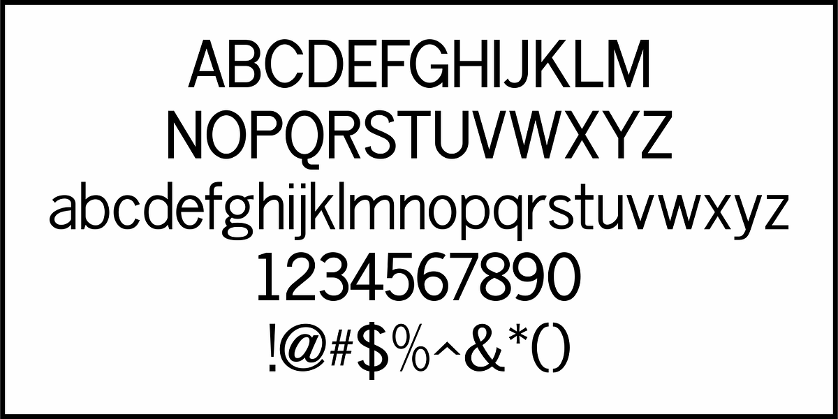 Columnist JNL, a Sans Serif Font by Jeff Levine Fonts (Photo 3 of 5)