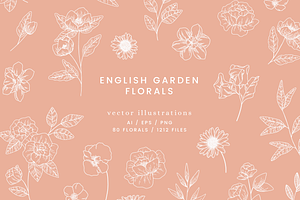 English Garden Vector Illustrations