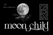 Rococo Aesthetic - Elegant Font, a Script Font by 177Studio (Thumbnail 3 of 8)