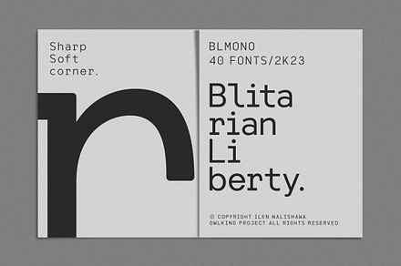 Blitarian Liberty