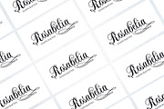 Certhian Script, a Script Font by Solidtype (Thumbnail 6 of 9)