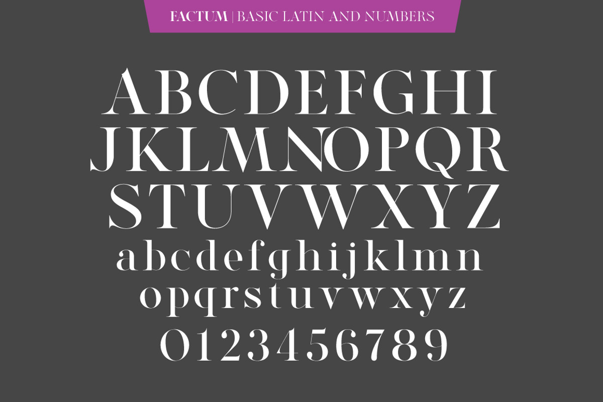Factum font family, a Serif Font by Fontop (Photo 2 of 12)