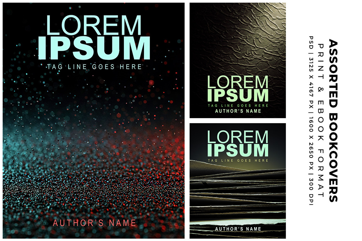 Assorted Book Cover Templates preview 3