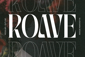 Roave - Modern Elegant Serif Font