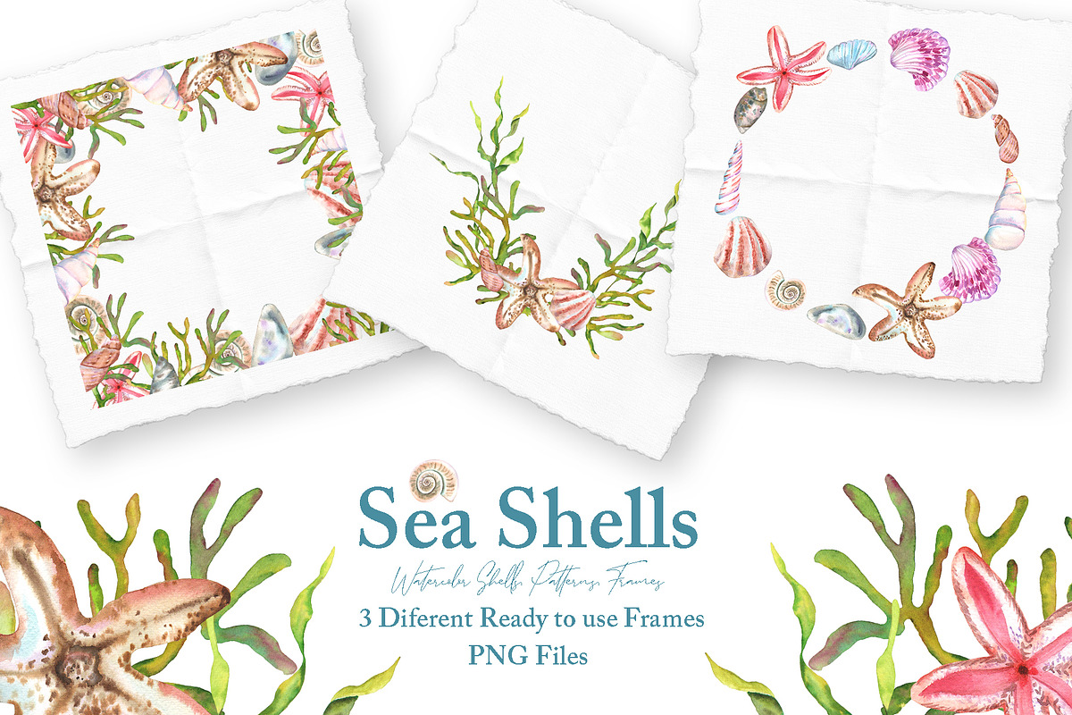 Watercolor Sea Shells Illustrations, a Work Illustration by TanataDesign (Photo 8 of 10)
