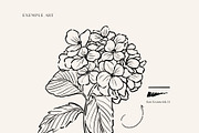 Photoshop Ink Brushes, a Brush Add-On by Jenteva Art (Thumbnail 10 of 12)