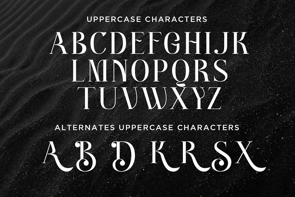 Better Authentic - Absonstype, a Serif Font by Absonstype (Photo 7 of 12)