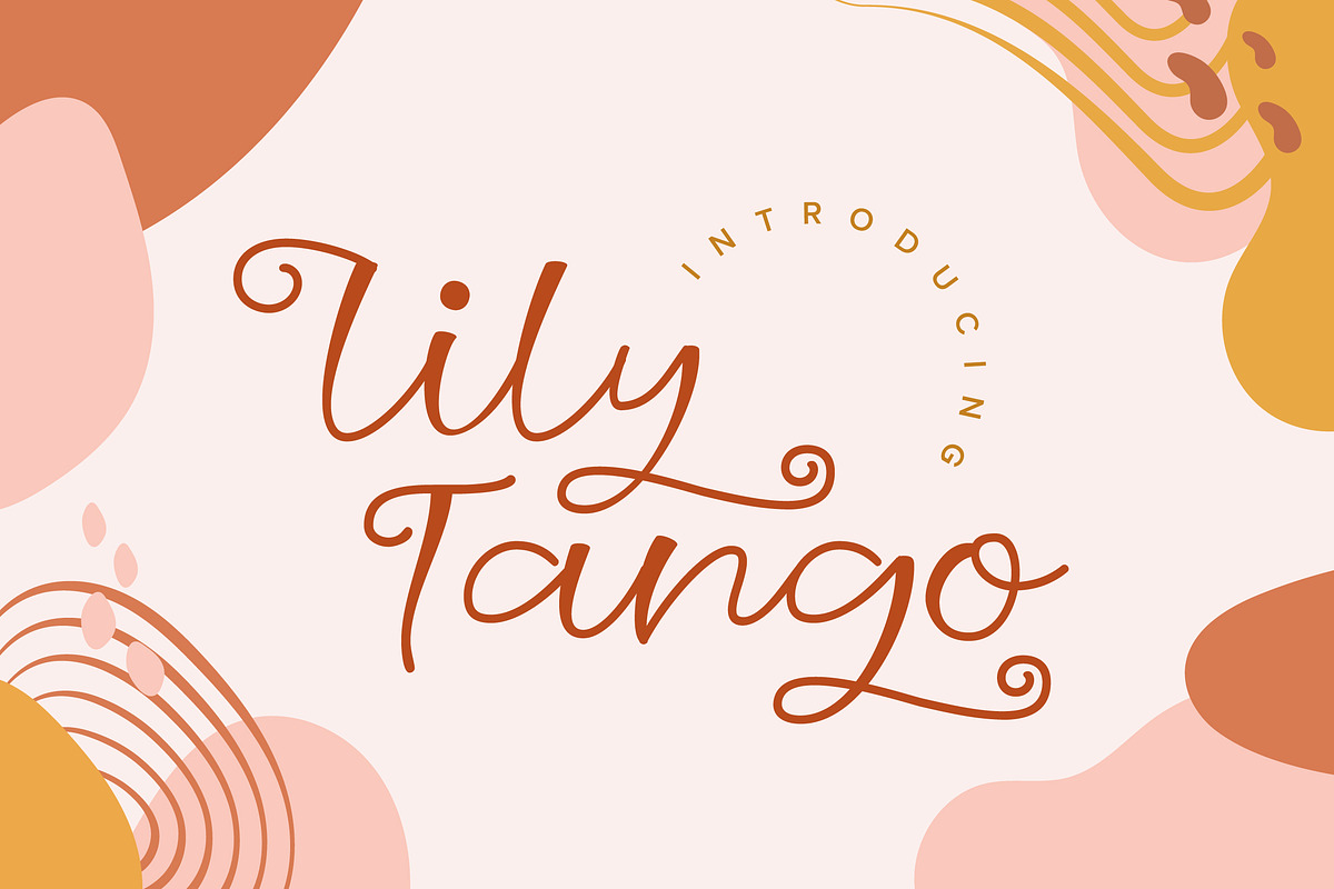 Lily Tango - Display | Script | Logo