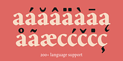 Blizka, a Serif Font by YXType (Thumbnail 6 of 13)