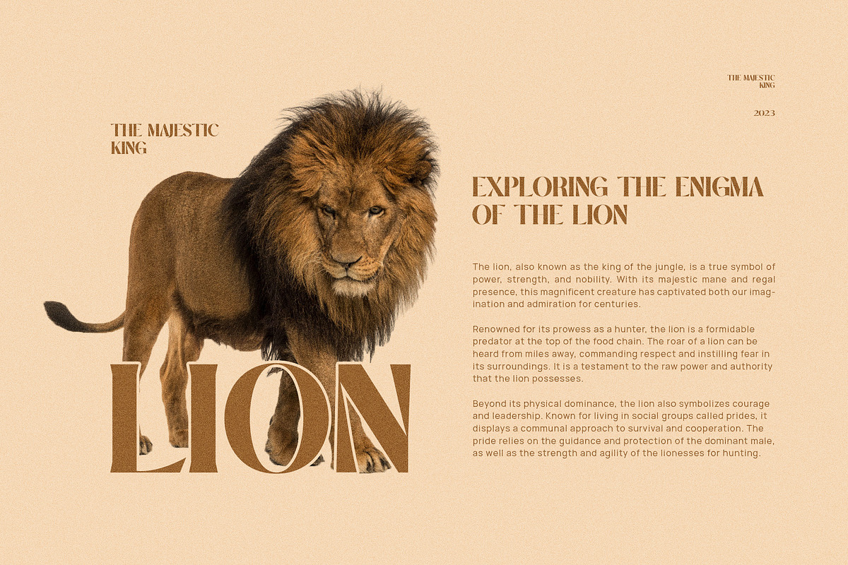 Surong Elegant Serif Font Typeface, a Serif Font by Graphicxell (Photo 4 of 10)