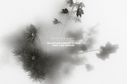 4 in 1 NOSTALGIA TONES, a Layer Style Add-On by Kristina&Co (Thumbnail 11 of 11)
