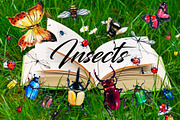 Insects, an Illustration by Alena (Thumbnail 1 of 3)