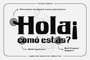 Ecomri - Serif Condensed Font, a Serif Font by trabaskriya (Thumbnail 3 of 8)