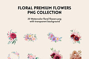 183+ Flowers & Elements Collection, an Illustration by AN Productions (Thumbnail 10 of 17)